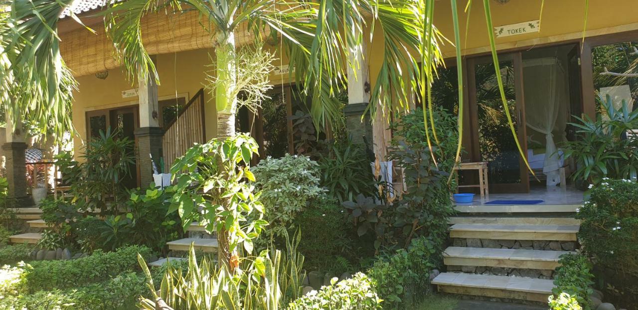 Nalini Resort Amed Екстериор снимка